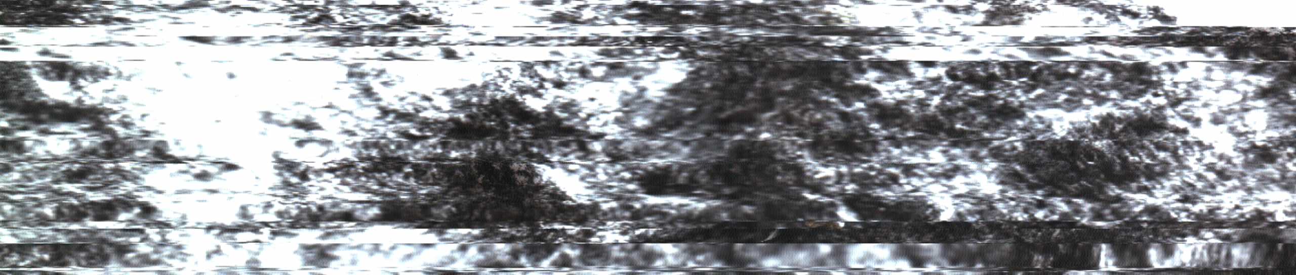 The Rock Scans