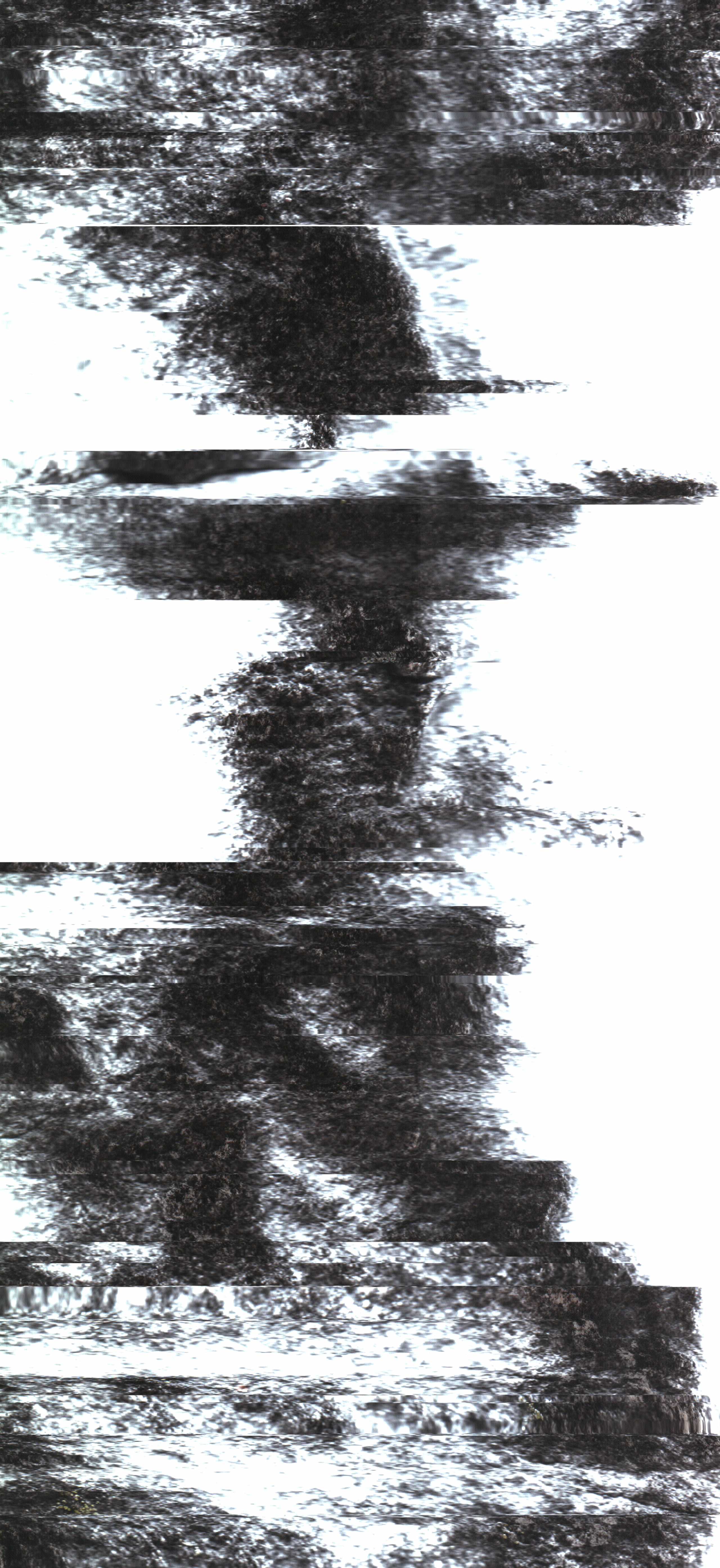 The Rock Scans