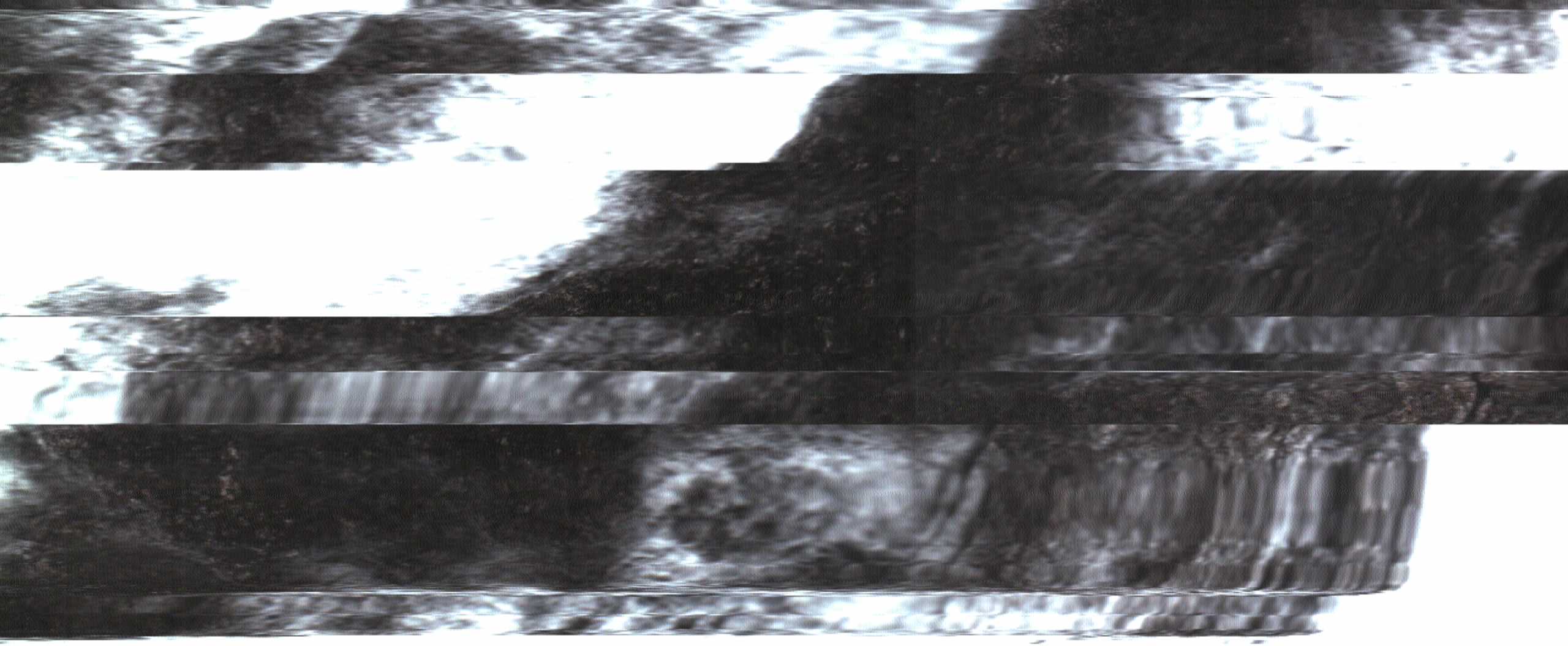 The Rock Scans