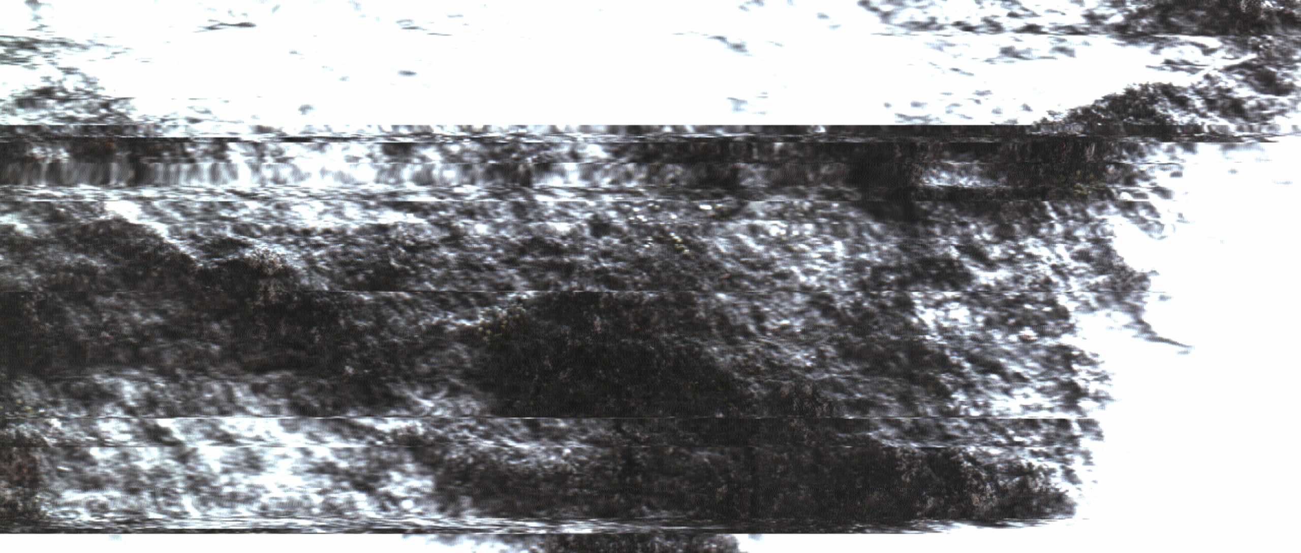 The Rock Scans