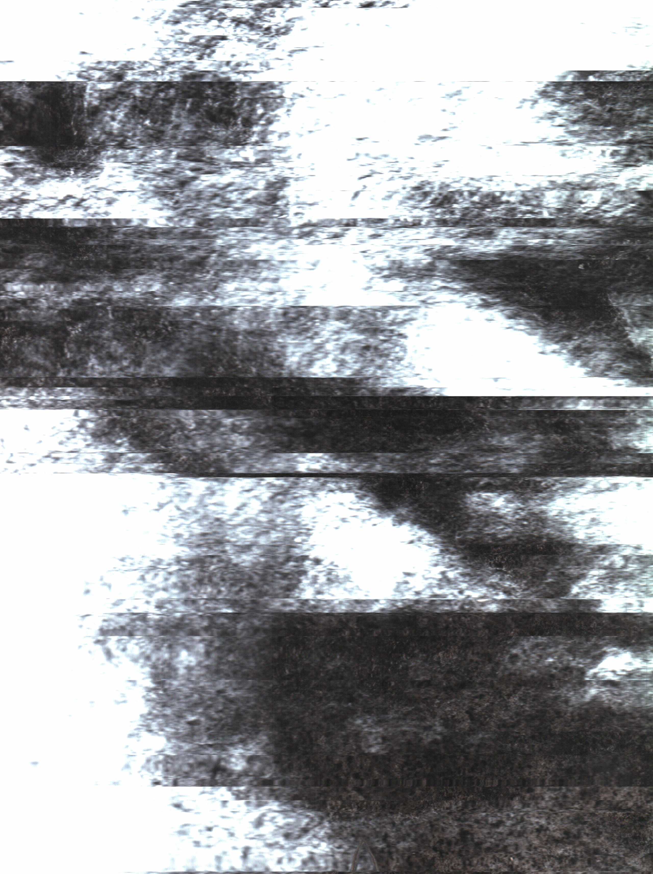 The Rock Scans