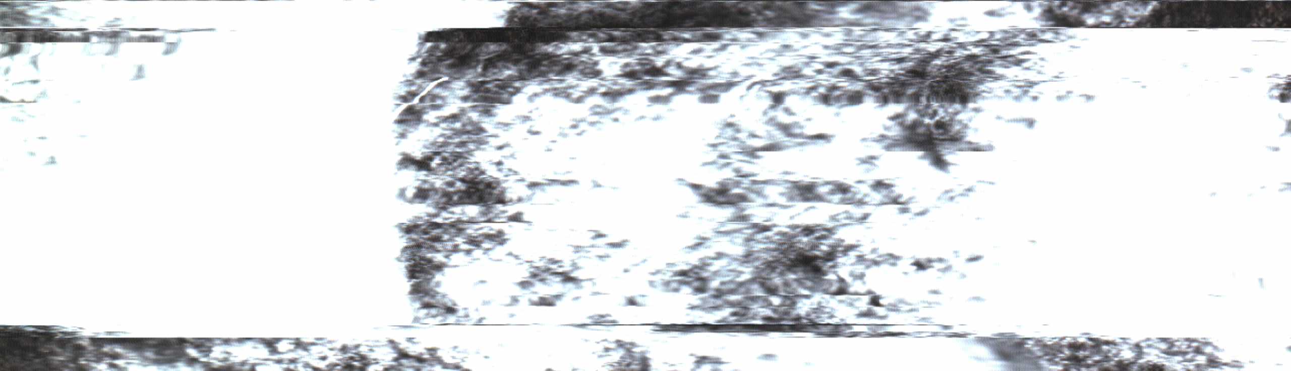 The Rock Scans