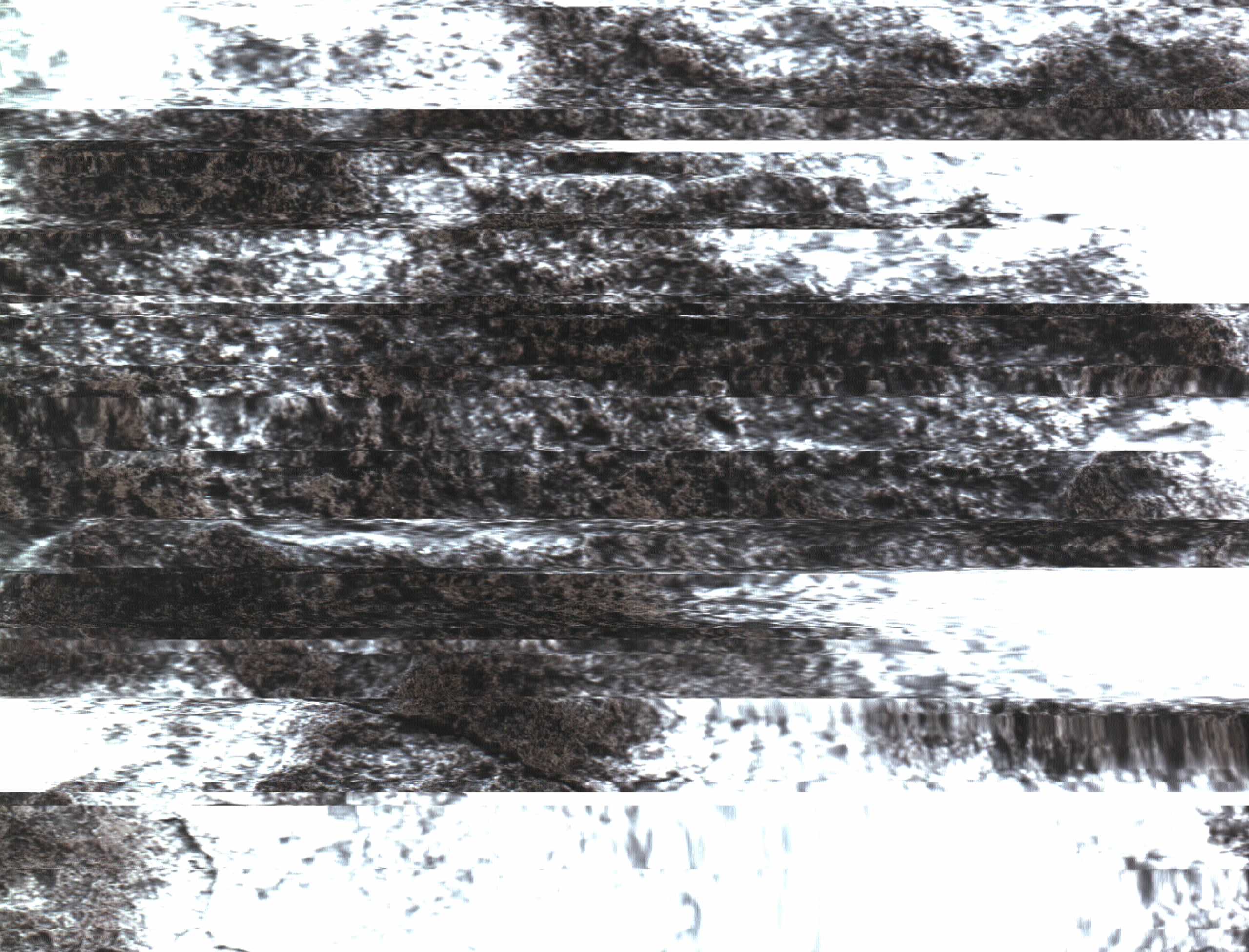 The Rock Scans