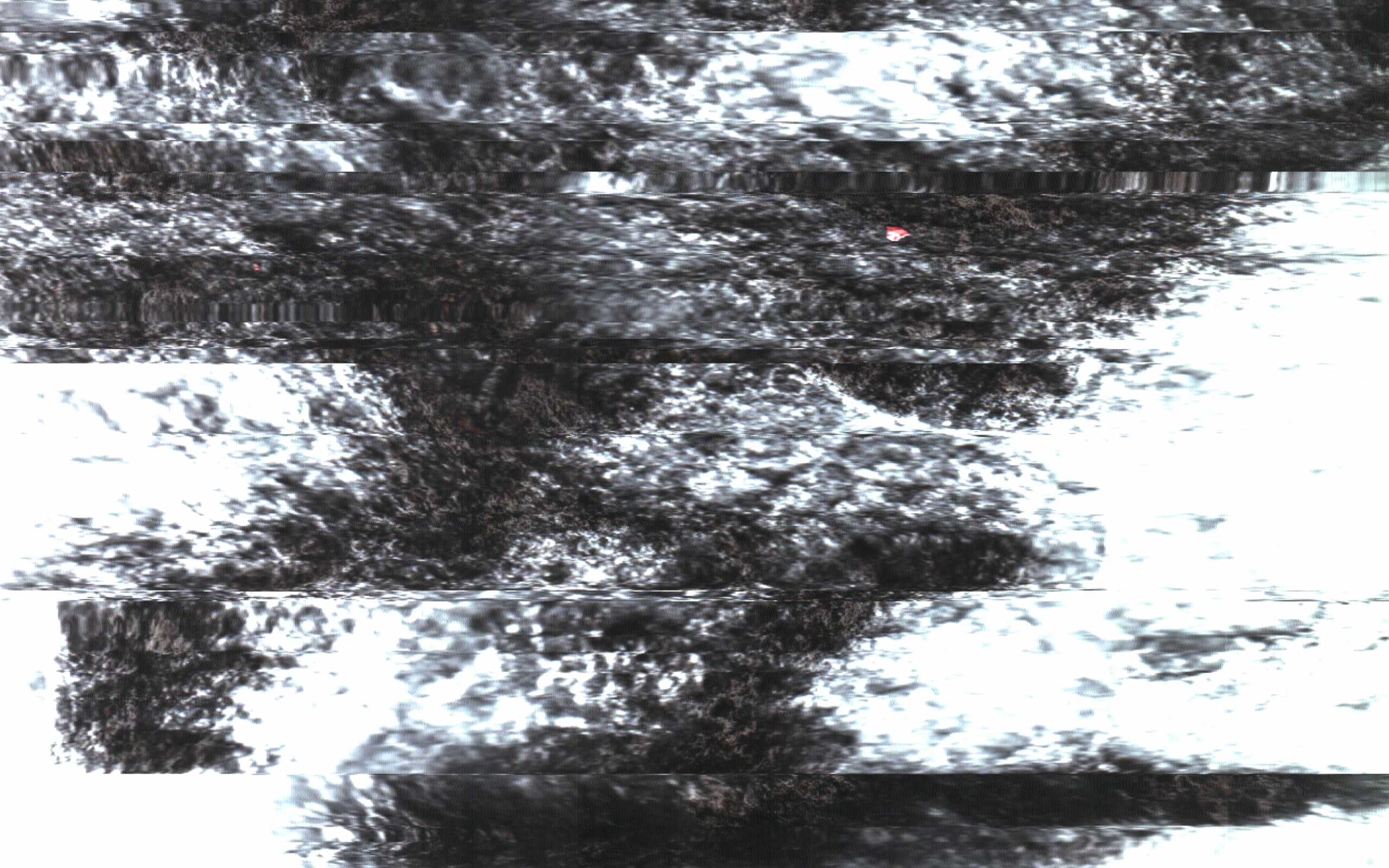 The Rock Scans