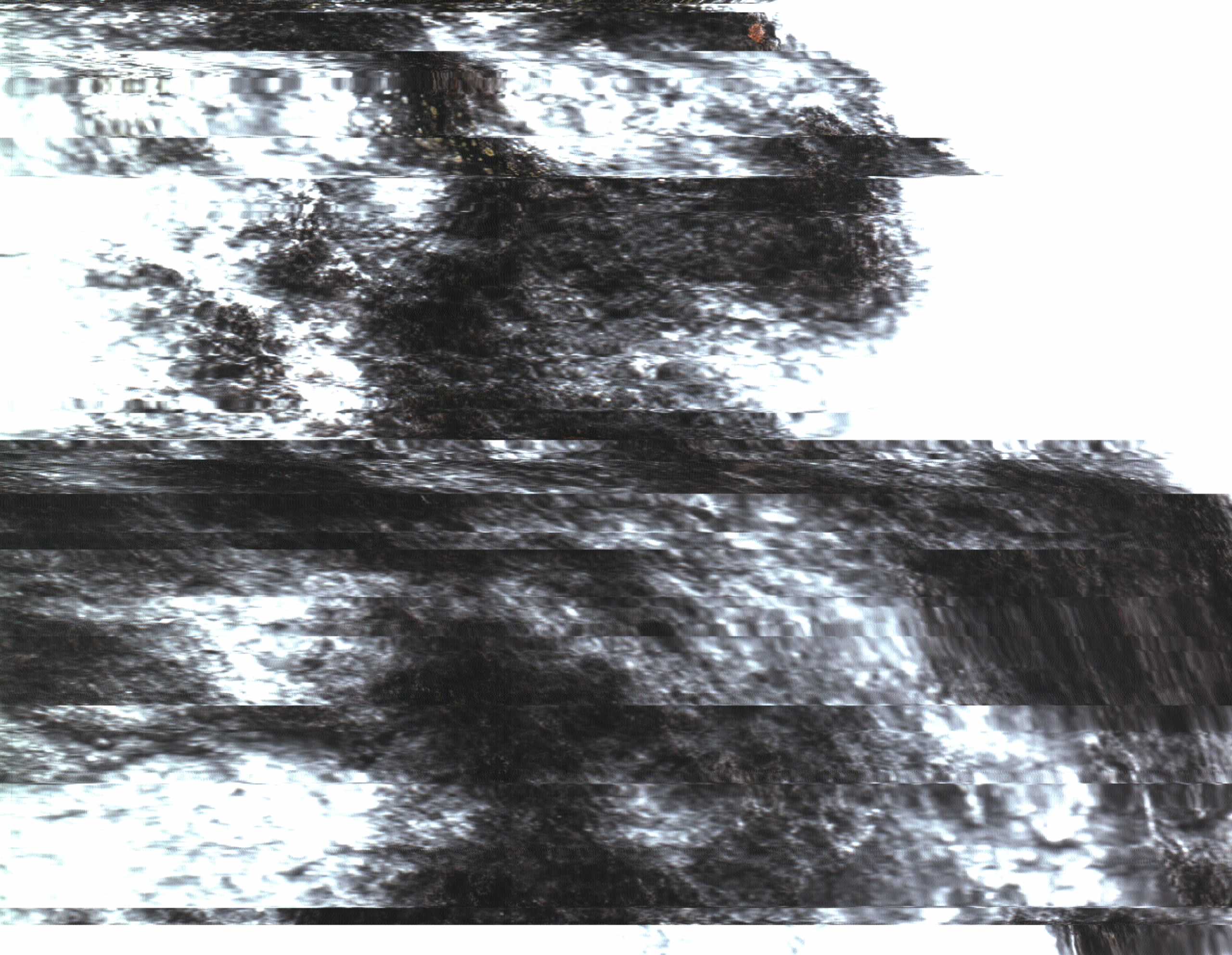 The Rock Scans