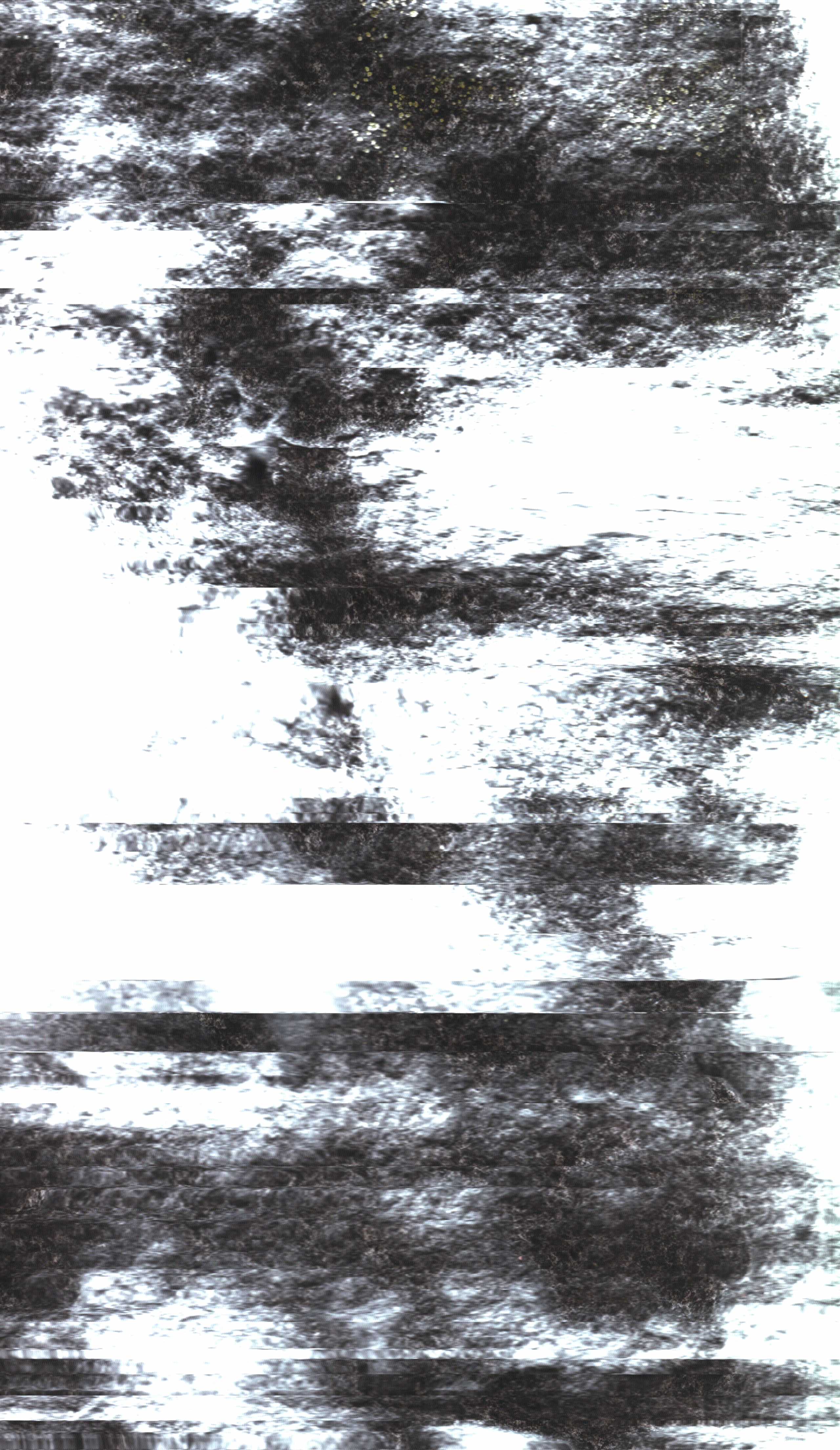 The Rock Scans
