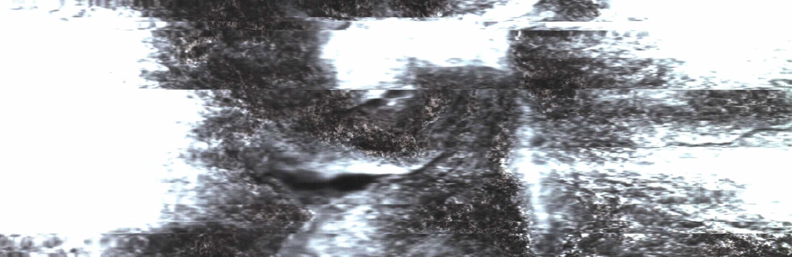 The Rock Scans