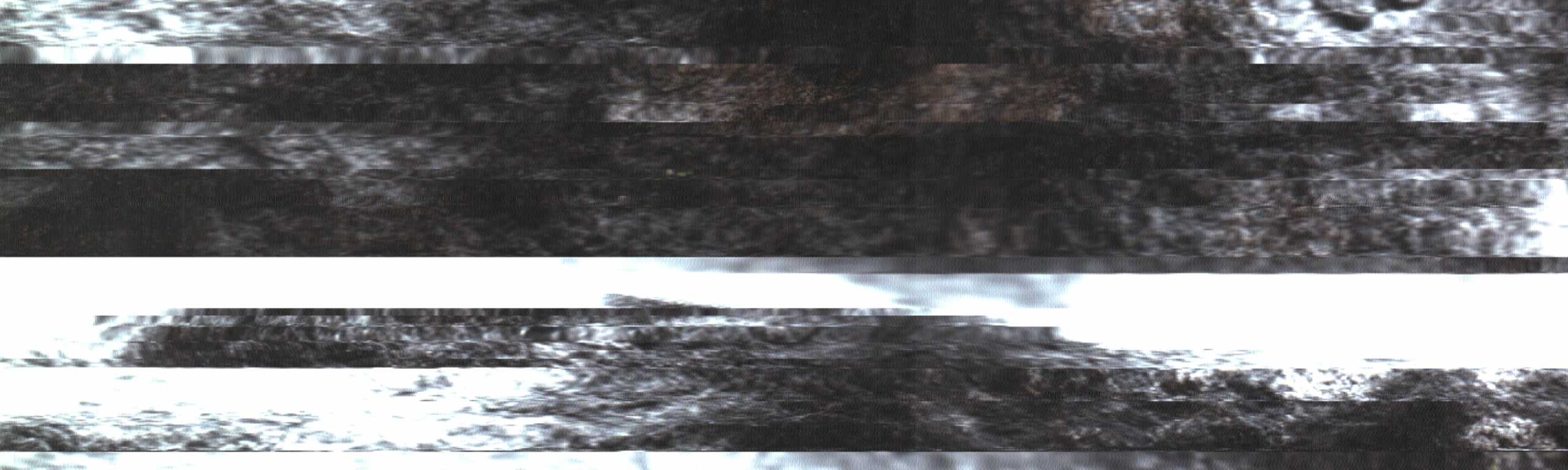The Rock Scans