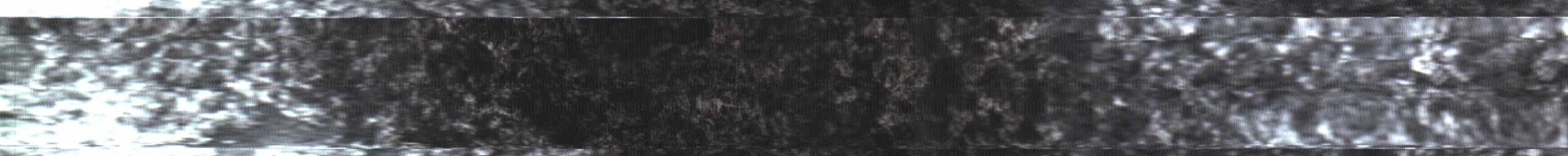 The Rock Scans