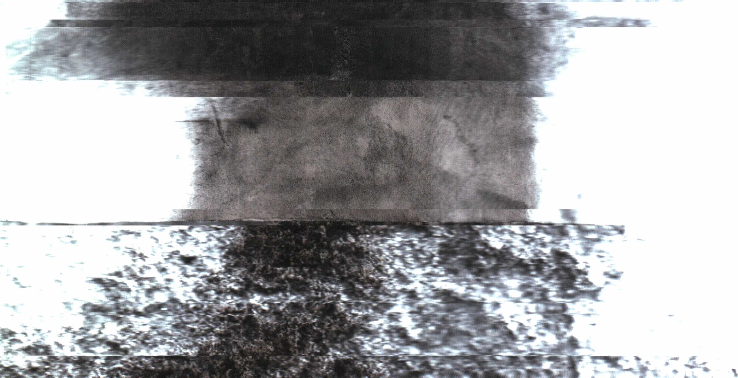 The Rock Scans