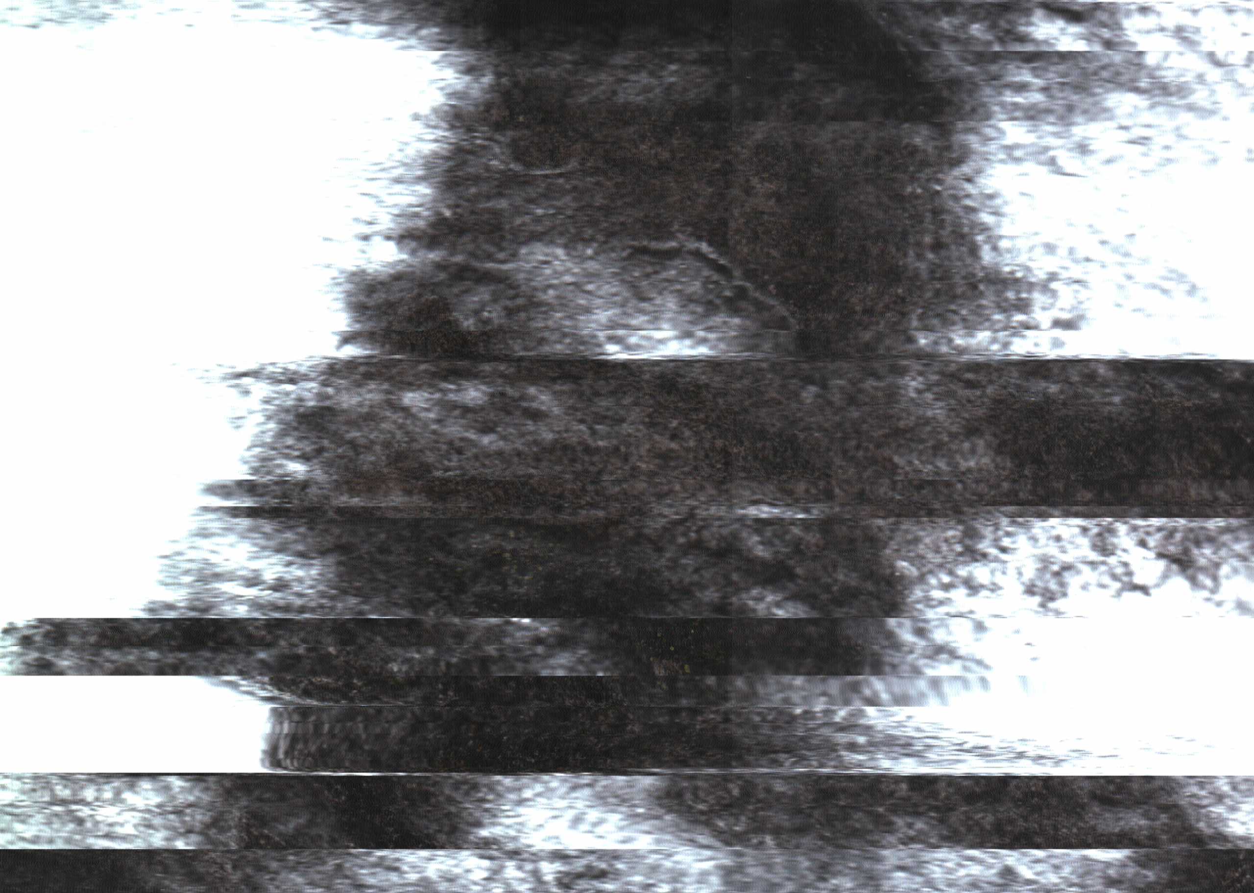 The Rock Scans
