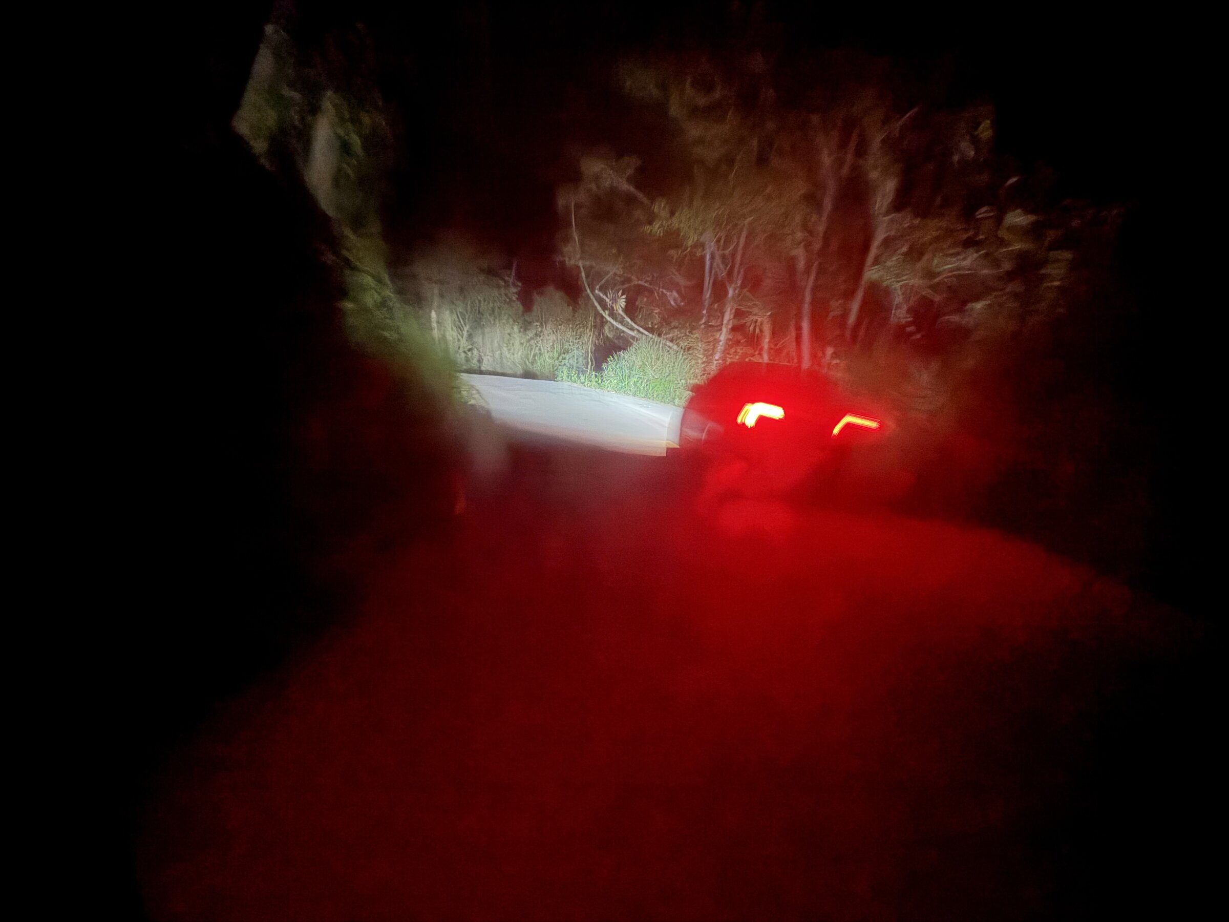 Night Drive