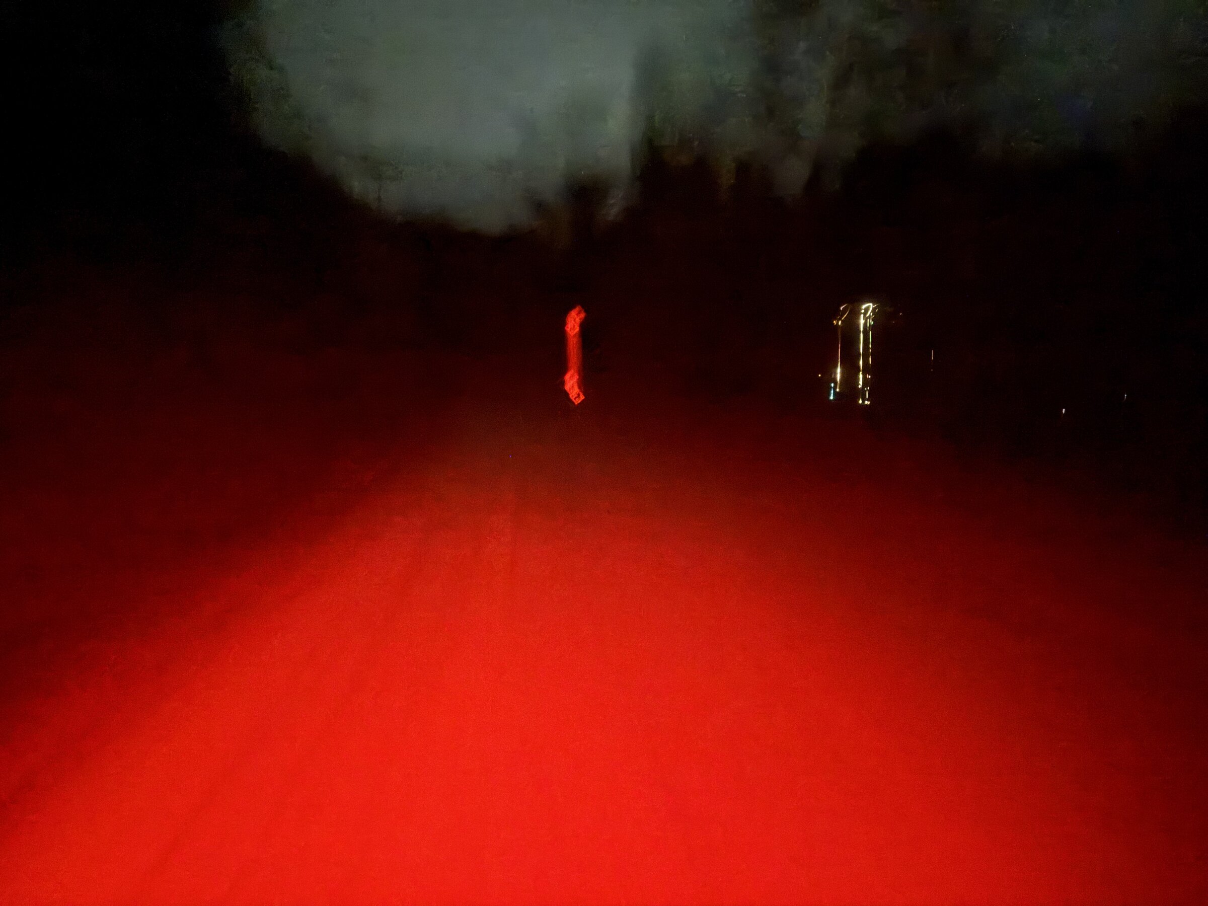Night Drive